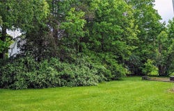 7 Maple Street, Walton, NY 13856