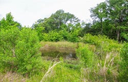 Tbd VZ CR 2150, Wills Point, TX 75169