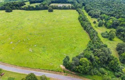 Old Texas Road, Quitman, AR 72131
