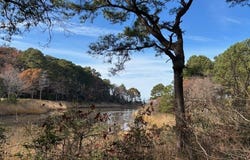 HARBOUR LN lot: 8, CAPE CHARLES, VA 23310