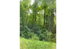 16165 Brushy Rd, Pikeville, KY 41501