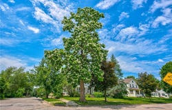1403 3rd Street, Hudson, WI 54016