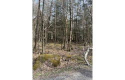 Lot 813 White Pine Drive, Pocono Lake, PA 18347