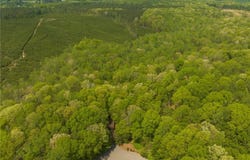 14009 Tribe Lane, Ashland, VA 23005