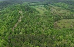 Ryan Road, Oden, AR 71961