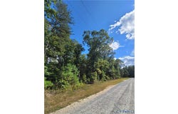 Narrow Path Trail, Beaverdam, VA 23015