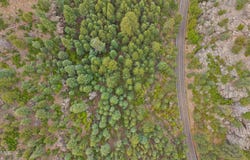 1628 CANYON VIEW Loop, Williams, AZ 86046