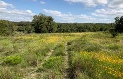 207 Verbena CT, Johnson City, TX 78636