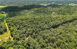 481 Timberline Road, Willow Springs, MO 65793