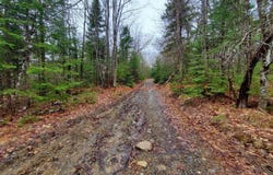 0 Ryan Road, Baileyville, ME 04694