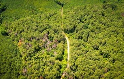 Sweet Water Road, Daviston, AL 36256