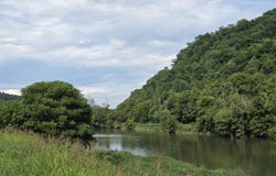 Caney Valley Lots 4, 5 & 6 Rd, Sneedville, TN 37869