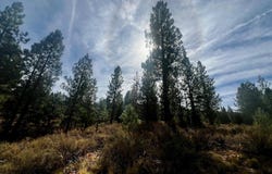 1121 Great Spirit lot: 386, Portola, CA 96122