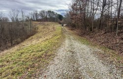 Jug Run, Alma, WV 26320