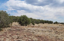 2544 N Double A Rnch Road, Ash Fork, AZ 86320