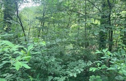 7374 Mossy Drive SW, Carrollton, OH 44615