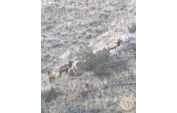 Gebo Rd, Fromberg, MT 59029