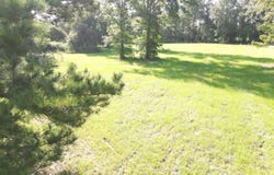 0 Mayberry Ln Lot 9-B, Livingston, LA 70754