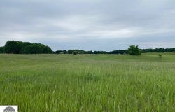 1313 CLOUS ROAD, KINGSLEY, MI 49649