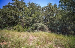 Tbd Round Hill Way, Runaway Bay, TX 76426