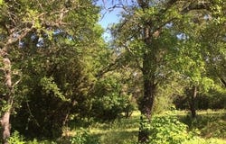 8513 Retreat Boulevard, Cleburne, TX 76033