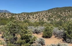 Tract D Witt Road, Taos, NM 87571