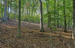 58 BUCK RUN ROAD, CONESTOGA, PA 17516