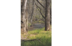 626 Brush Creek Road, Copperhill, TN 37317