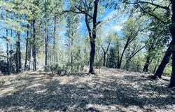 001 Oak Run Road, Oak Run, CA 96069