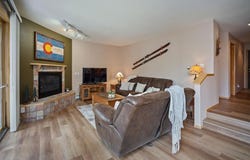10000 RYAN GULCH ROAD, Silverthorne, CO 80498