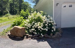 11416 KLINE DRIVE NW, CUMBERLAND, MD 21502