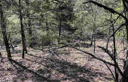 000 Lost Valley Rd, Greenbrier, AR 72058