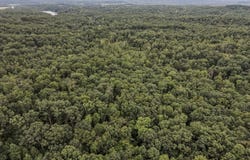 Tract 2 Wildwood Trail, Clay City, KY 40312