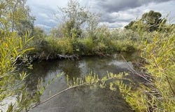 State Road 240 West, Ranchos de Taos, NM 87557