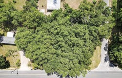 1212 S Center Street, Perry, FL 32348