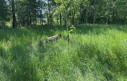 W9777 COUNTY RD X, CRIVITZ, WI 54114-8549