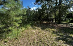 1787 Buddy Johnson, East Dublin, GA 31027