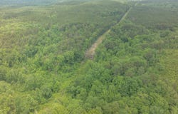 000 S Hoggle Ridge Rd, Haleyville, AL 35565
