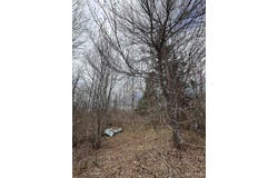 Net River Road, Crystal Falls, MI 49920