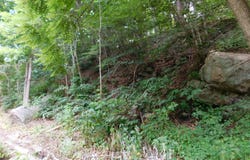 Claremont Avenue, Tamaqua, PA 18252