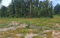 Old Highway 43, Mount Vernon, AL 36560