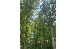 0 Columbine Drive, Carlisle, KY 40311
