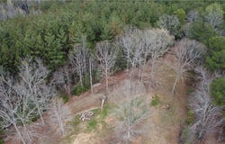 1080 Santee Drive, Walhalla, SC 29691