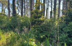 570 Highway 70 lot: 5 6 7, Smyrna, NC 28579
