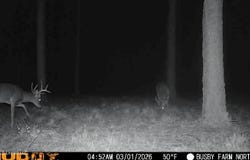 U.S. Highway 51, Bogue Chitto, MS 39629