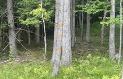 Tbd Boulder Brook Lot B10, Windham, NY 12496