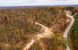 MOUSE TAIL Road, Parsons, TN 38363