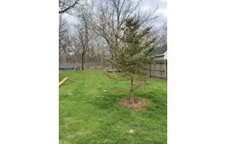 608 Brown Street, Woodstock, IL 60098