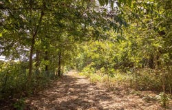 County Road 9640, Koshkonong, MO 65692