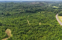 139 Acres County Road 87, Vina, AL 35593